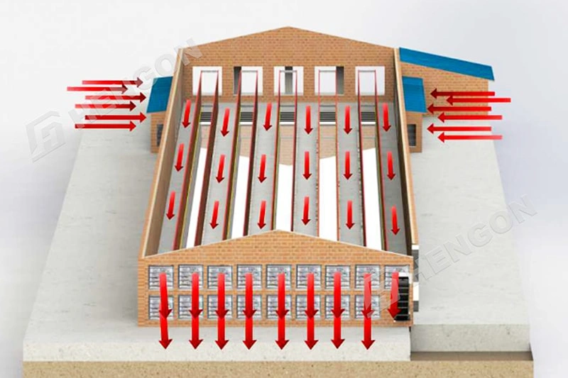 Cinco factores clave para construir un gallinero moderno y eficiente