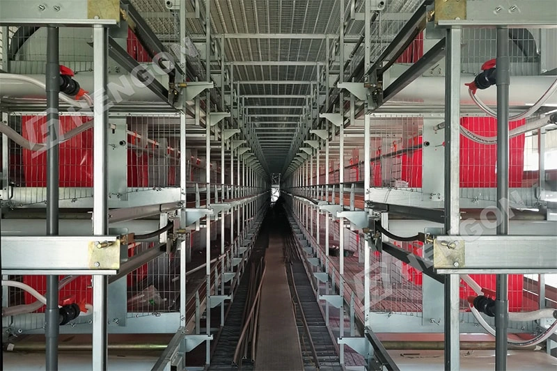 Equipos inteligentes para la cría de pollos de engorde para un mejor crecimiento de los pollos Equipos inteligentes para la cría de pollos de engorde para un mejor crecimiento de los pollos