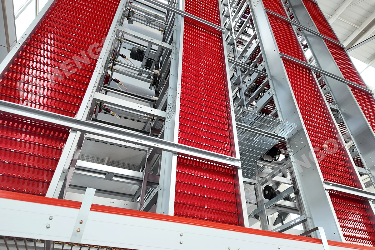 automatic egg collectors.webp automatic egg collectors.webp